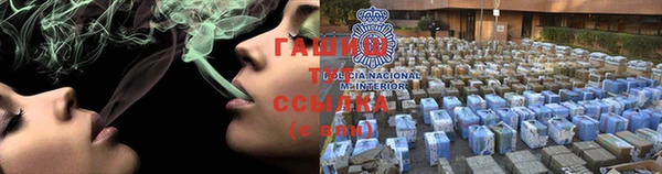 apvp Бородино