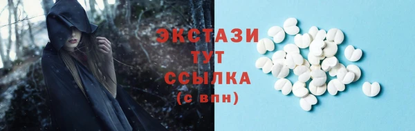 таблы Богородицк