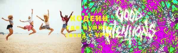 apvp Бородино