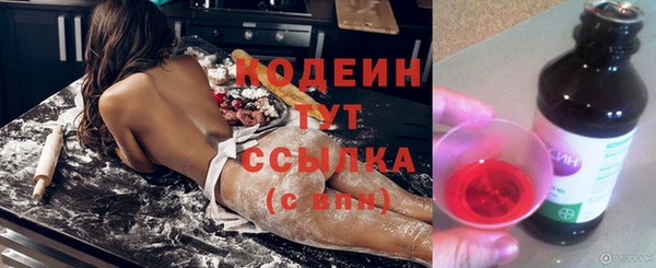 apvp Бородино